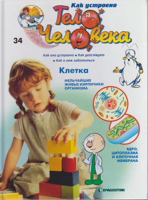 Книга Как устроено тело человека. Клетка 2007 № 34 Москва Твёрдая обл. 30 с. С цв илл