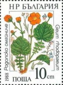 (1988-003) Марка Болгария &quot;Гравилат алеппский&quot;   Водные растения II Θ