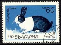 (1986-015) Марка Болгария "Голландский кролик"   Зайцы и кролики III Θ