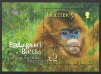 (№2004-36) Блок марок Гернси 2004 год "Золотой Snubnosed Rhinopithecus roxellana обезьяна", Гашеный