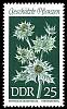 (1969-028) Марка Германия (ГДР) "Синеголовник приморский"    Растения под защитой III O