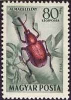 (1954-008) Марка Венгрия "Казарка"    Насекомые III Θ