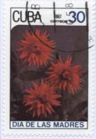 (1987-025) Марка Куба "Кактусовые георгины"    Цветы III Θ