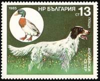 (1985-121) Марка Болгария "Английский сеттер"   Охотничья собака III O