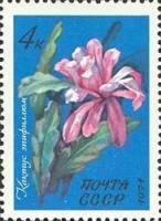 1971-123 Марка СССР Кактус эпифиллюм   Тропические и субтропические растения III O