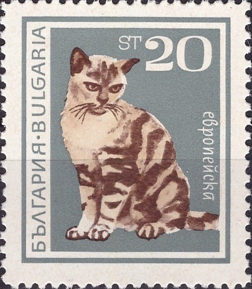 (1967-027) Марка Болгария &quot;Европейская&quot;   Домашние кошки III Θ