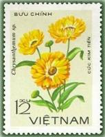 (1978-057a) Марка Вьетнам "Ким тянь"  Без перфорации  Хризантемы III Θ