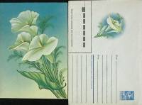 1986-год  Худож. конверт с открыткой СССР Лилия    ,  Марка