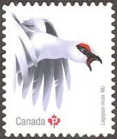 Марка из набора Канада 2016 год "Белые мута ню", Гашеная