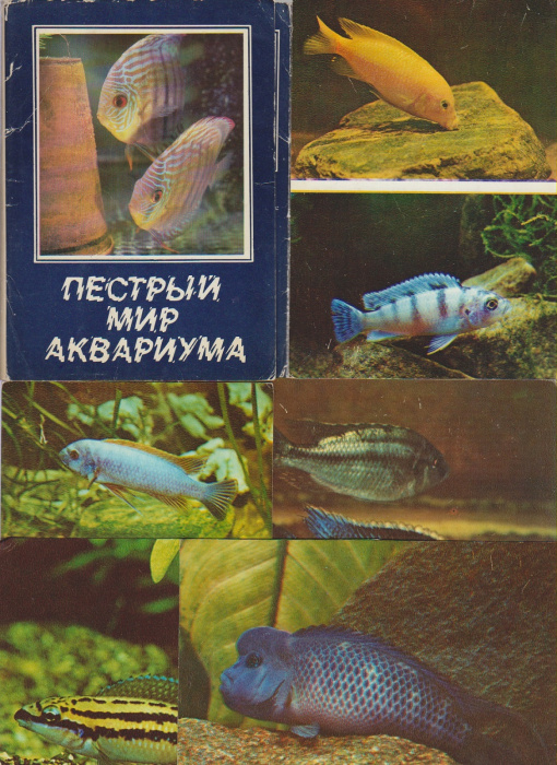 Набор открыток &quot;Пестрый мир аквариума&quot;, 25 шт., 1982 г.