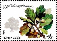 (1980-090) Марка СССР "Обыкновенный дуб"    Охраняемые породы деревьев и кустарников II Θ