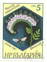 (1987-046) Марка Болгария "Фацелия пижмолистная"   Пчелы и растения III Θ