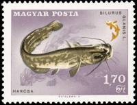 (1967-044) Марка Венгрия "Европейский сом" ,  III O