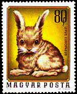 (1974-094) Марка Венгрия "Крольчонок"    Молодые домашние животные II Θ