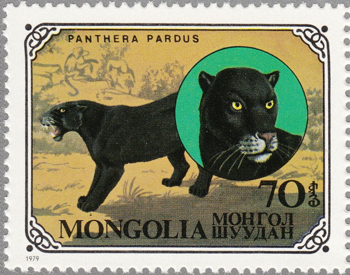(1979-058) Марка Монголия &quot;Пантера &quot;    Дикие животные III Θ