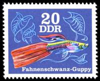 (1976-075) Марка Германия (ГДР) "Флагохвостый Гуппи"    Декоративные Рыбы III Θ