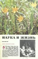 Журнал Наука и жизнь 1983 № 5 Москва Мягкая обл. 160 с. С цв илл