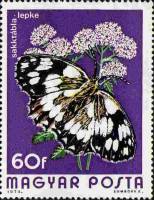 (1974-080) Марка Венгрия "Пестроглазка галатея"    Бабочки III Θ