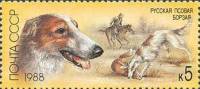 1988-043 Марка СССР Русская псовая борзая  Отечественные породы охотничьих собак III O