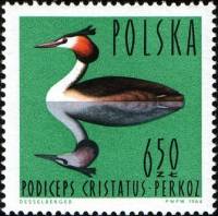 (1964-041) Марка Польша "Большая поганка"   Водоплавающие птицы II Θ
