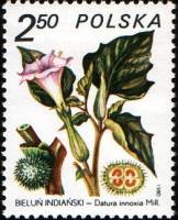 (1980-044) Марка Польша "Дурман индейский"    Лекарственное растение III O