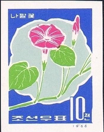 (1966-004) Марка Северная Корея &quot;Ипомея&quot;   Полевые цветы III Θ
