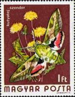 (1974-082) Марка Венгрия "Бражник молочайный"    Бабочки III Θ