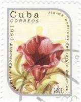(1986-016) Марка Куба "Алламанда фиолетовая"    Экзотические цветы III Θ