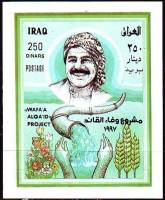 (№1997-75) Блок марок Ирак 1997 год "Президент Саддам Хусейн руки водой ладонями уши", Гашеный