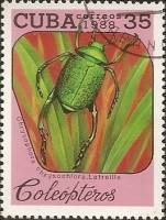 (1988-049) Марка Куба "Блестящий жук-листоед"    Жуки III Θ