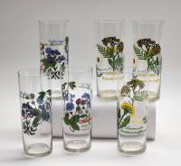 Стаканы 6 штук высоткие узкие стекло рисунок цветы ботаника высота 14 см