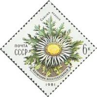 1981-048 Марка СССР Колючник бесстебельный  Цветы украинских Карпат III Θ