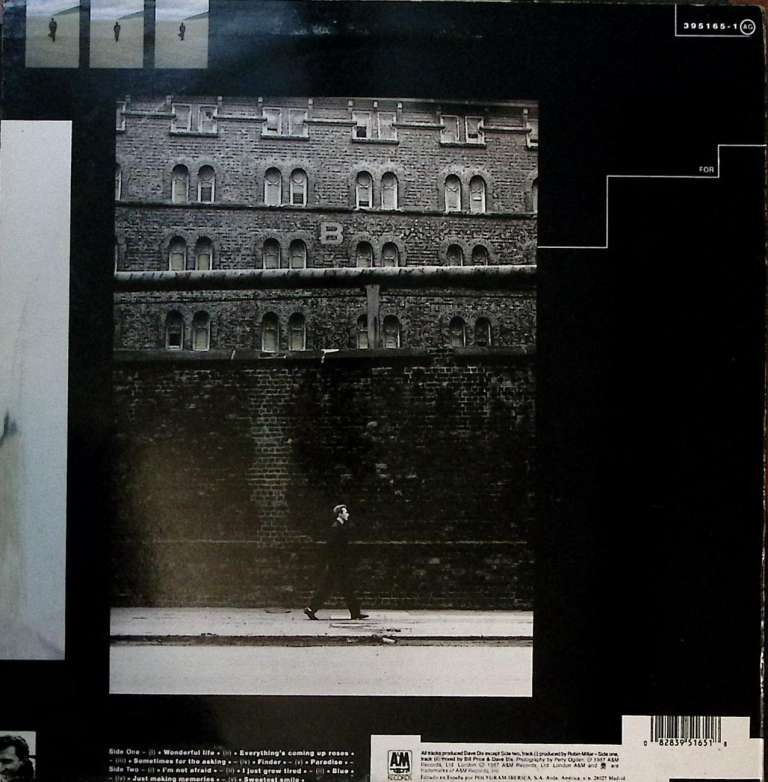 Пластинка виниловая , Wonderful life AM Records 300 мм. Excellent