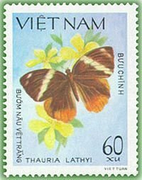 (1983-076a) Марка Вьетнам "Таурия Лати"  Без перфорации  Бабочки III &Theta;