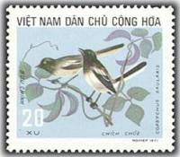 (1973-022) Марка Вьетнам "Сорочий шама-дрозд"   Птицы III O