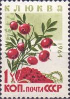 1964-169 Марка СССР Клюква   Ягоды III O