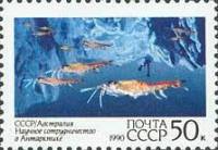 (1990-054) Марка СССР "Морские животные"   Научное сотрудничество СССР и Автралии в Антарктиде III Θ