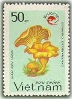 (1990-106) Марка Вьетнам "Лисичка обыкновенная"    Туризм III Θ
