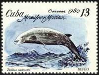 (1980-038) Марка Куба "Клюворыл"    Морские млекопитающие III O