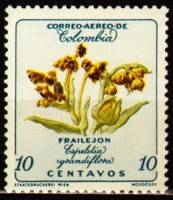 (№1962-911) Марка из набора Колумбия 1962 год "Крупноцветковая Espeletia", Гашеная