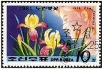(№2126) Марка Корея Северная 1981 год "Айрис pseudodacorus", Негашеная