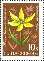 1974-103 Марка СССР Тюльпан волосистотычиночный   Цветы альпийских лугов Средней Азии III Θ