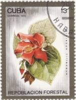 (1975-047) Марка Куба "Гибискус липовидный"    Лесопосадки III O