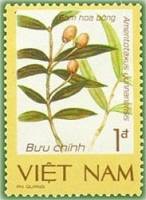 (1986-107) Марка Вьетнам "Юньнаньский тис"    Редкие растения III Θ