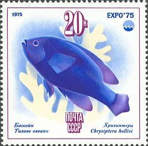 1975-058 Марка СССР Хризиптера  Всемирная выставка ЭКСПО-75. Море и его будущее II O