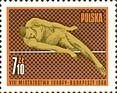 (1966-036) Марка Польша "Прыжки в высоту" , III Θ