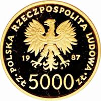 () Монета Польша 1987 год 5000  ""    AU