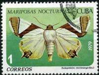 (1979-035) Марка Куба "Мотылек"    Бабочки III O