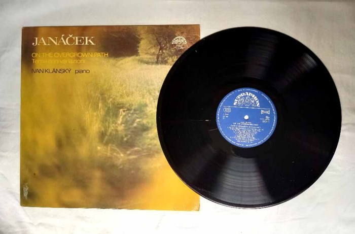 Пластинка виниловая , Janacek Supraphon 300 мм. (Сост. отл.)