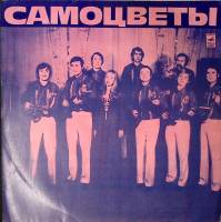 Пластинка виниловая , Горлица Мелодия 300 мм. Excellent